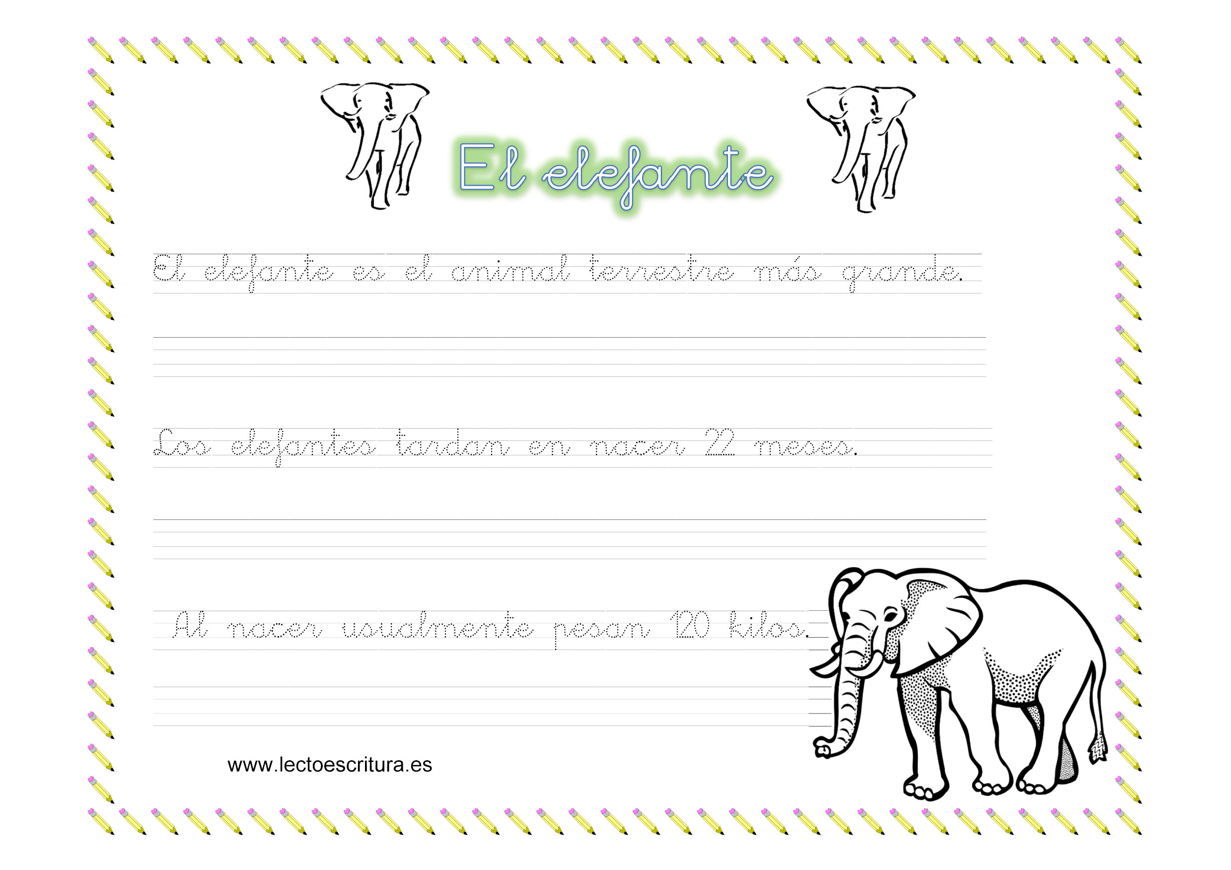Ficha de caligrafa. El elefante.